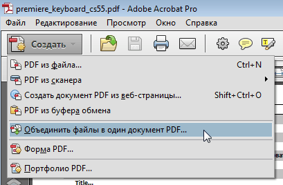 Adobe Acrobat X Pro