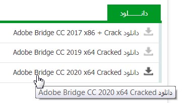 Adobe Bridge 2021 v11.0.0.83 x64 Multilingual.rar