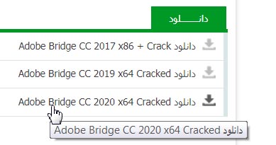 Adobe Bridge CC 2020