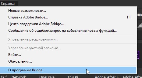 Adobe Bridge CC 2020