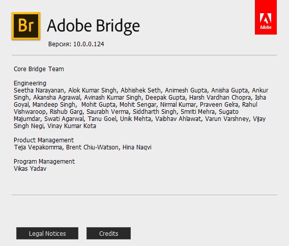 Adobe Bridge CC 2020