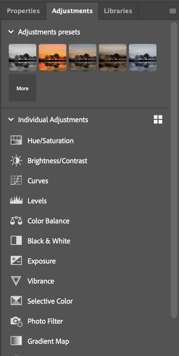 Adjustments Panel with Presets