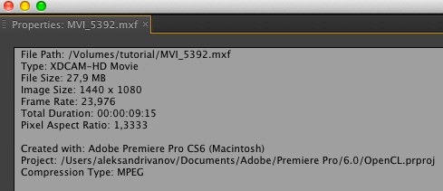 Apple Final Cut Pro X