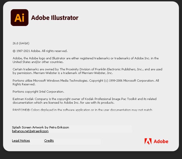 Adobe Illustrator 2022