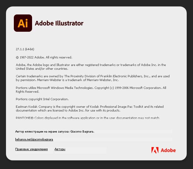 Adobe Illustrator 2023