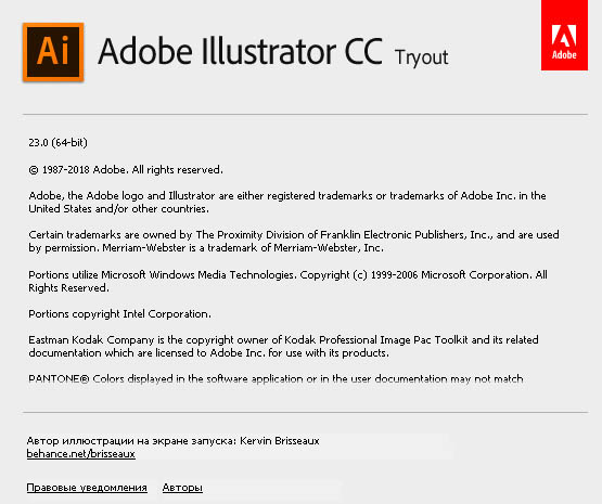 Adobe Illustrator CC 2019