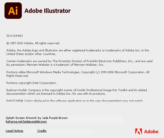 Adobe Illustrator CC 2021