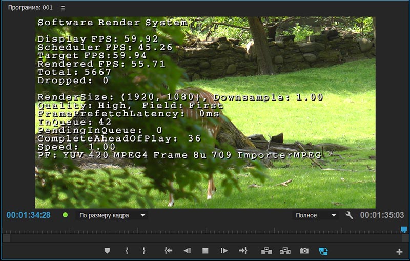 Intel HD Graphics 4000 (GT2)
