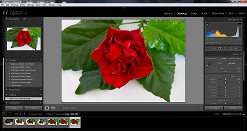 Adobe Photoshop Lightroom 5