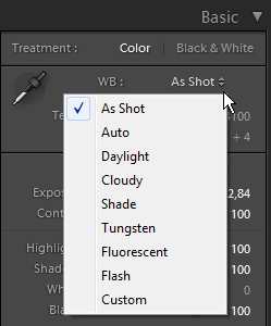 Adobe Photoshop Lightroom 5