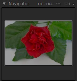 Adobe Photoshop Lightroom 5