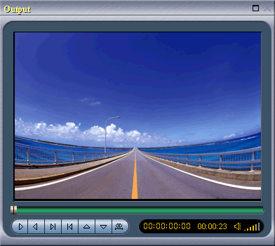 Mpeg Video Wizard DVD