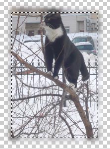 Adobe Photoshop CS6