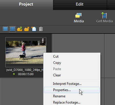 Adobe Premiere Elements 10