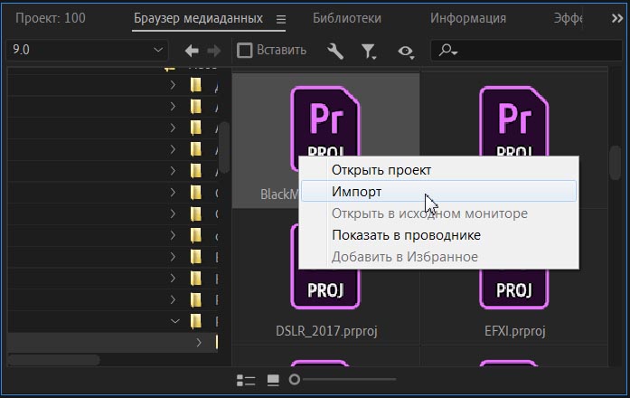       (Allow duplicate media during project import)