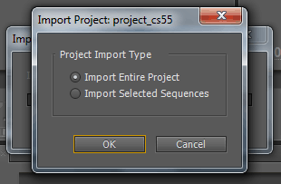 Adobe Premiere Pro CS5.5