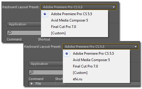 Adobe Premiere Pro CS5.5