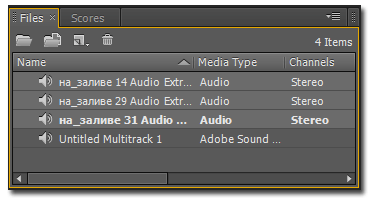 Adobe Premiere Pro CS5