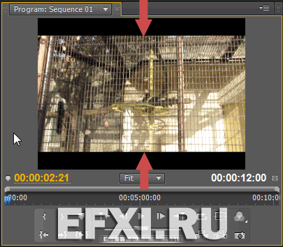 Default scale to frame size