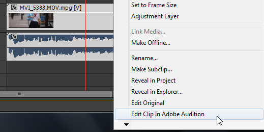 Adobe Premiere Pro CC 2014