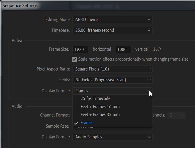 Adobe Premiere Pro CC 2020