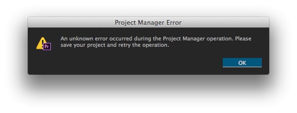 Project Manager