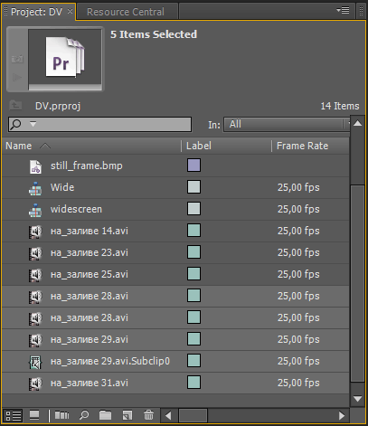 Adobe Premiere Pro CS5