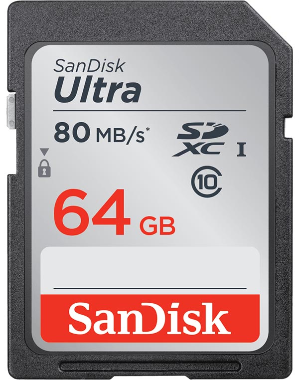 SanDisk SDSDUNC-064G-GN6IN