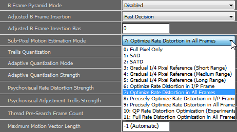 Sub-Pixel Motion Estimation Mode