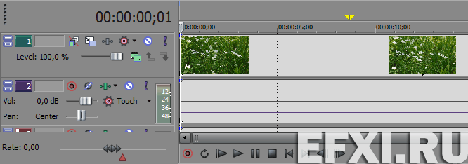 Sony Vegas Pro 10