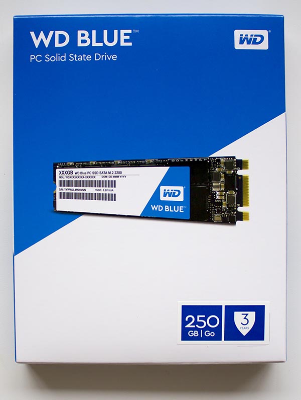 WD Blue WDS250G1B0B