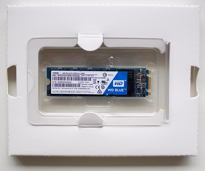 WD Blue WDS250G1B0B