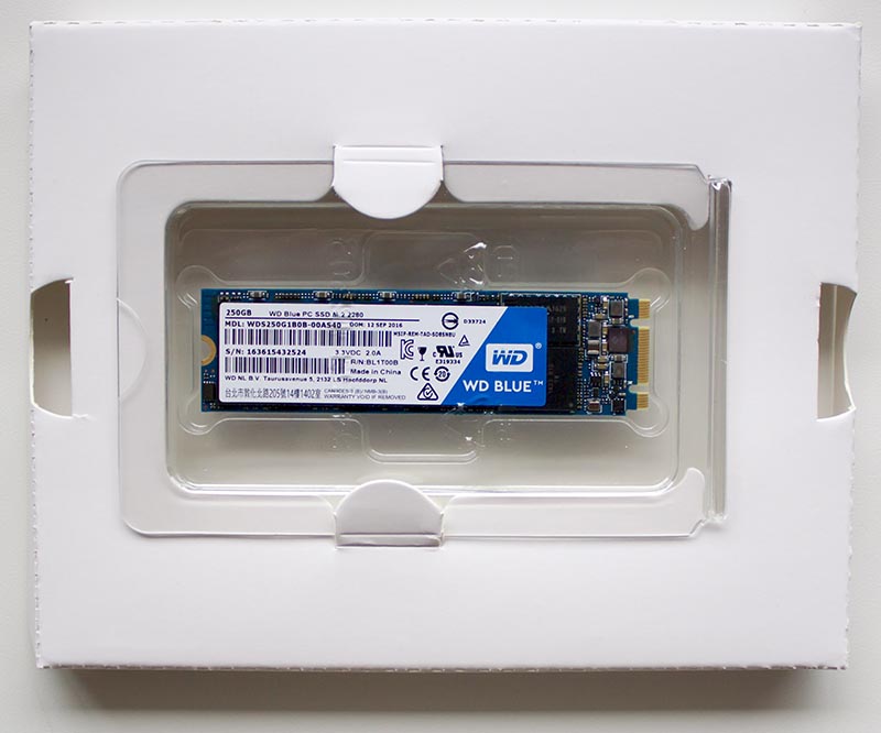 WD Blue WDS250G1B0B