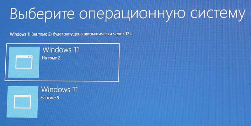      Windows 11