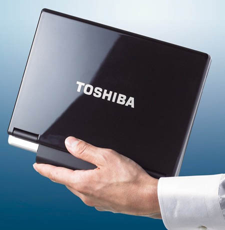 Toshiba NB100/H