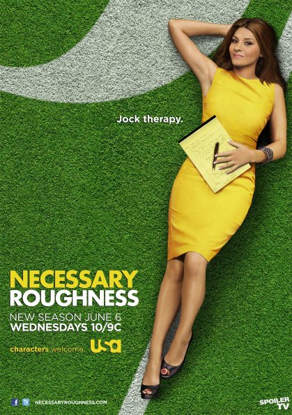 Necessary Roughness