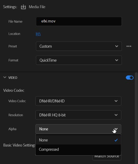 Adobe Premiere Pro 2022 (v22.3)