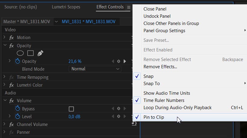  Pin to Clip   Effect Controls