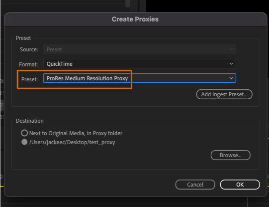 Adobe Premiere Pro 2022 (v22.5)